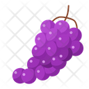 پیش‌نمایش فایل grape-4259058 از پک سبزی و میوه