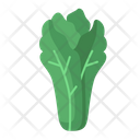 پیش‌نمایش فایل lettuce-4259068 از پک سبزی و میوه