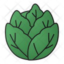 پیش‌نمایش فایل cabbage-4259099 از پک سبزی و میوه