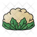 پیش‌نمایش فایل cauliflower-4259098 از پک سبزی و میوه