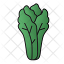 پیش‌نمایش فایل lettuce-4259102 از پک سبزی و میوه