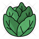 پیش‌نمایش فایل cabbage-4259135 از پک سبزی و میوه