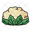 پیش‌نمایش فایل cauliflower-4259134 از پک سبزی و میوه