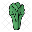 پیش‌نمایش فایل lettuce-4259138 از پک سبزی و میوه