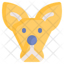 پیش‌نمایش فایل kangaroo-4643132 از پک حیوانات