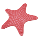 پیش‌نمایش فایل starfish-5560170 از پک تابستان
