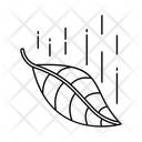 پیش‌نمایش فایل leaves-13165867 از پک پاییز