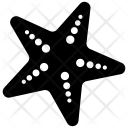 پیش‌نمایش فایل starfish-29 از پک تابستان جلد 1