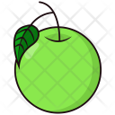پیش‌نمایش فایل guava-4 از پک میوه ها و سبزیجات جلد 1