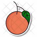 پیش‌نمایش فایل peach-87 از پک میوه ها و سبزیجات جلد 1