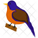 پیش‌نمایش فایل bird-157 از پک تخت پایه جلد 1