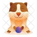 پیش‌نمایش فایل cat-playing-with-ball-5705397 از پک متفرقه