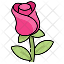 پیش‌نمایش فایل rose-10628205 از پک ولنتاین