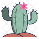 پیش‌نمایش فایل cactus-10999863 از پک بهار