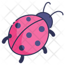 پیش‌نمایش فایل ladybug-10999871 از پک بهار