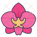 پیش‌نمایش فایل orchid-10999876 از پک بهار