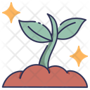 پیش‌نمایش فایل sprout-10999883 از پک بهار