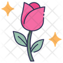 پیش‌نمایش فایل tulip-10999886 از پک بهار