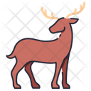پیش‌نمایش فایل deer-11044812 از پک جانور حیات جنگلی