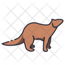 پیش‌نمایش فایل ferret-11044786 از پک جانور حیات جنگلی