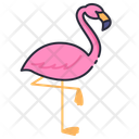 پیش‌نمایش فایل flamingo-11044787 از پک جانور حیات جنگلی