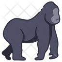 پیش‌نمایش فایل gorilla-11044790 از پک جانور حیات جنگلی