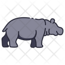 پیش‌نمایش فایل hippopotamus-11044792 از پک جانور حیات جنگلی