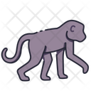 پیش‌نمایش فایل monkey-11044800 از پک جانور حیات جنگلی