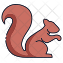 پیش‌نمایش فایل squirrel-11044807 از پک جانور حیات جنگلی