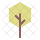 پیش‌نمایش فایل hexagon-tree-5876560 از پک اشکال هندسی درخت