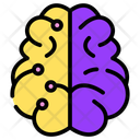 پیش‌نمایش فایل brain-10714840 از پک آیکون های آموزش