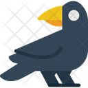 پیش‌نمایش فایل raven-10147178 از پک هالووین