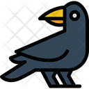 پیش‌نمایش فایل raven-10153940 از پک هالووین
