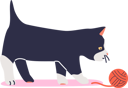 پیش‌نمایش فایل black-kitten-play-with-ball-of-thread-4930376 از پک افراد با حیوانات