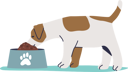 پیش‌نمایش فایل dog-eating-dry-food-4930375 از پک افراد با حیوانات
