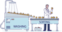 پیش‌نمایش فایل male-sorting-and-washing-fruits-with-water-on-conveyor-belt-4990890 از پک غذا