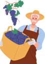 پیش‌نمایش فایل aged-male-farmer-holding-grapes-harvest-in-wicker-basket-8777288 از پک شراب‌سازی