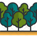 پیش‌نمایش فایل forest-5358475 از پک اکولوژی