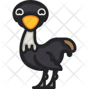 پیش‌نمایش فایل ostrich-5358069 از پک حیوانات