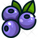 پیش‌نمایش فایل blueberry-1628638 از پک میوه‌ها