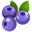 پیش‌نمایش فایل blueberry-1628685 از پک میوه‌ها