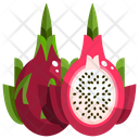 پیش‌نمایش فایل dragon-fruit-1628679 از پک میوه‌ها