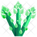 پیش‌نمایش فایل asparagus-1640408 از پک سبزیجات