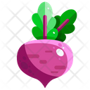 پیش‌نمایش فایل beetroot-1640406 از پک سبزیجات