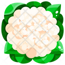 پیش‌نمایش فایل broccoflower-1640405 از پک سبزیجات
