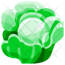 پیش‌نمایش فایل cabbage-1640403 از پک سبزیجات