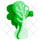 پیش‌نمایش فایل cabbage-1640410 از پک سبزیجات