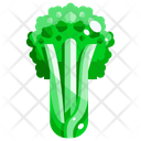 پیش‌نمایش فایل celery-1640393 از پک سبزیجات