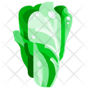 پیش‌نمایش فایل chinese-cabbage-1640422 از پک سبزیجات
