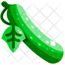 پیش‌نمایش فایل cucumber-1640394 از پک سبزیجات